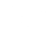 Brown Fox Collective